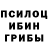 Галлюциногенные грибы Psilocybe Sage Blank