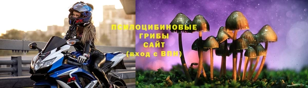 гидропоника Елабуга