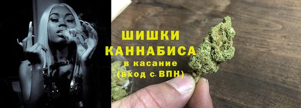 эйфоретик Ельня