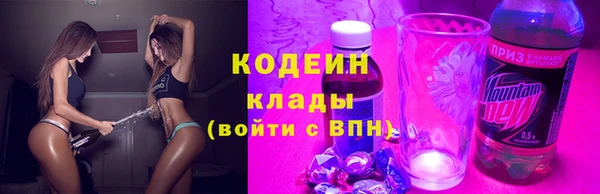 эйфоретик Ельня