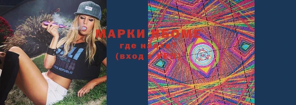стафф Елизово