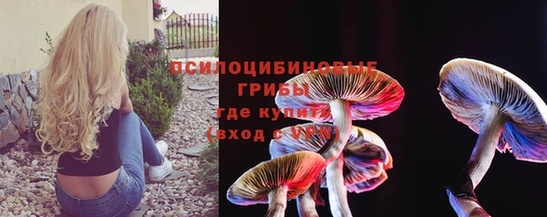 стафф Елизово
