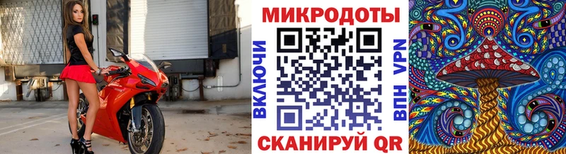 что такое наркотик  Норильск  Галлюциногенные грибы мухоморы 